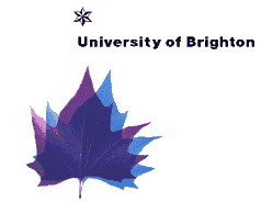 <University of Brighton logotype>
